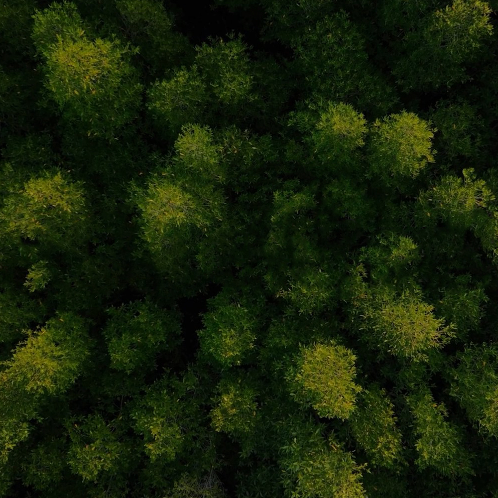 Sürdürülebilirlik